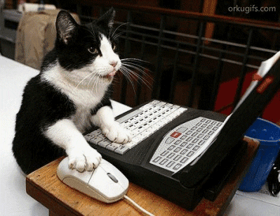 gif of a cat using a mouse on a computer