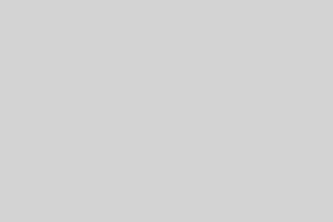 A light gray swatch